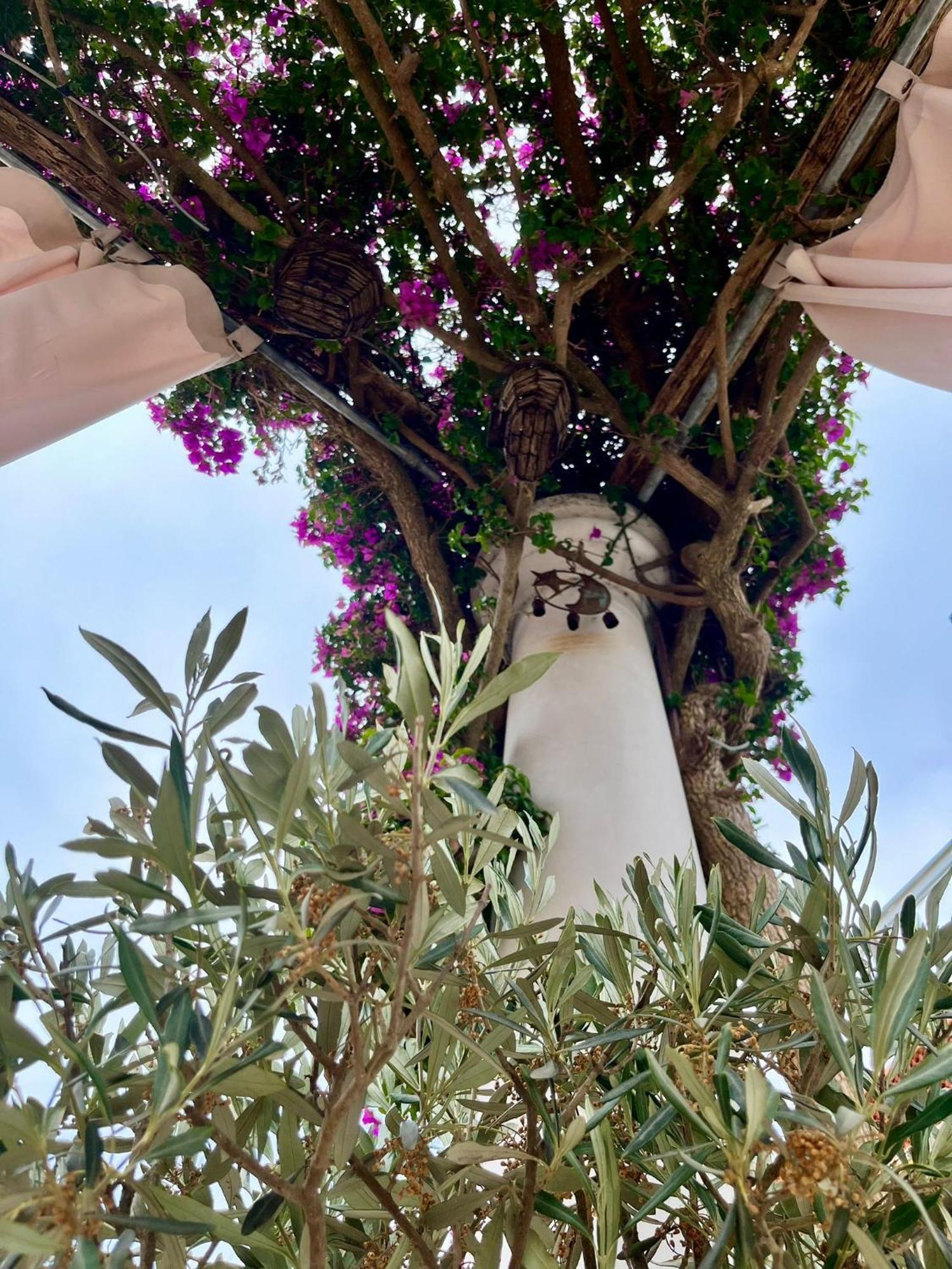 Alle Stelle B&B Anacapri  Eksteriør billede